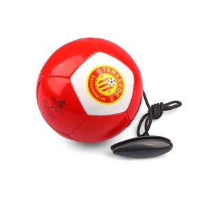 Mini-skillbal-bedrukken,-trainingsbal-kinderen-bedrukken,-skill-bal-bedrukt-met-logo