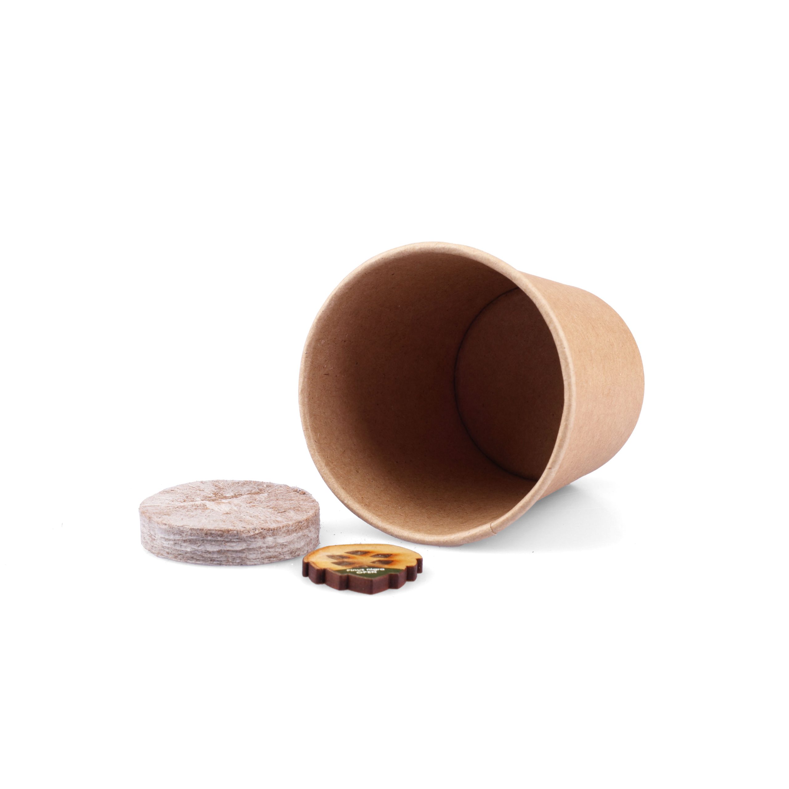 Kerstboom-kweek-set-bedrukken,-kerstboom-kweken-met-logo