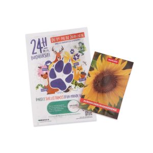 Zaadzakjes-bedrukken,-zakjes-met-zaden-bedrukken,-zaadzakken-met-logo,-bloemenzaadjes-bedrukken